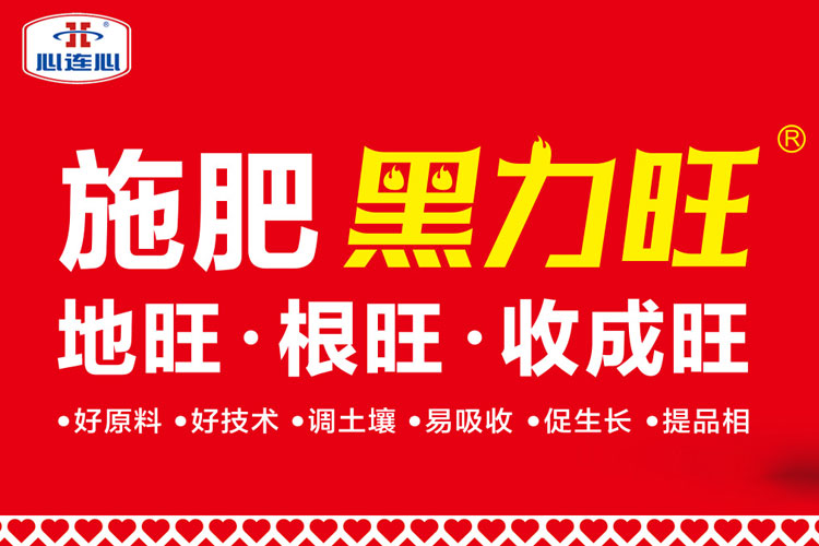 BBIN·宝盈集团(中国)有限公司官网