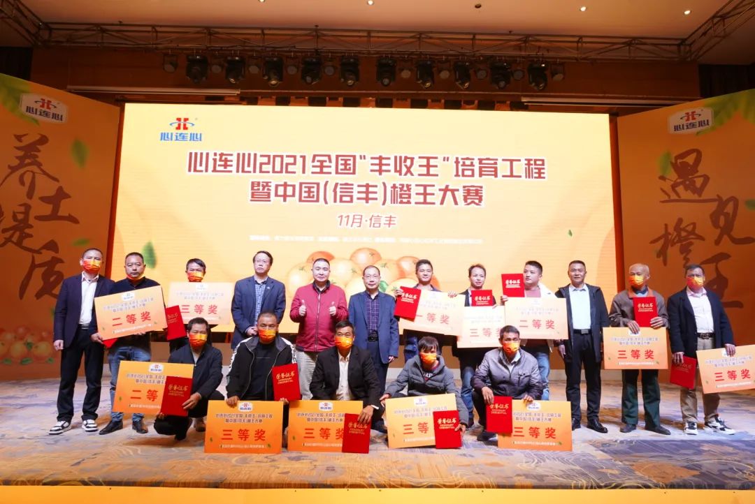 信丰脐橙“丰登王”甜美出炉，，，BBIN宝盈助力产区提质增效